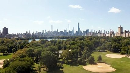 Skyline view of New York city from Central Park.