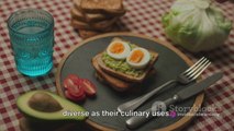 Everyone Was Wrong About Avocados - Discovering the Unexpected Benefits for People and Animals 4k HD