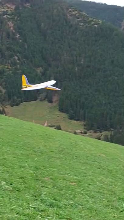 Wood curst L, Fehlstart