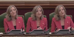 Cristina Ibarrola, exalcaldesa de Pamplona, zurra a Pedro Sánchez: 