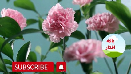 اسرار اللباقه التي تجعلك اكثر رقي واحتراما من الاخرين