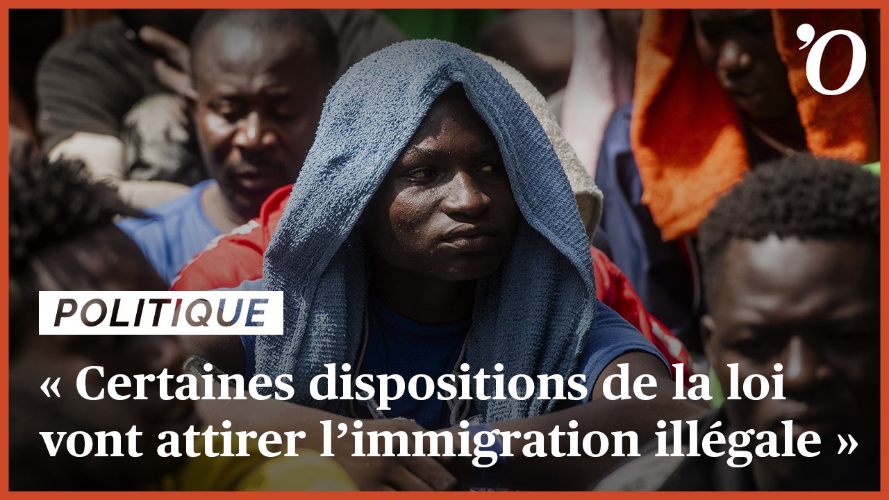 Patrick Weil: «Certaines dispositions de la loi vont attirer l’immigration illégale»