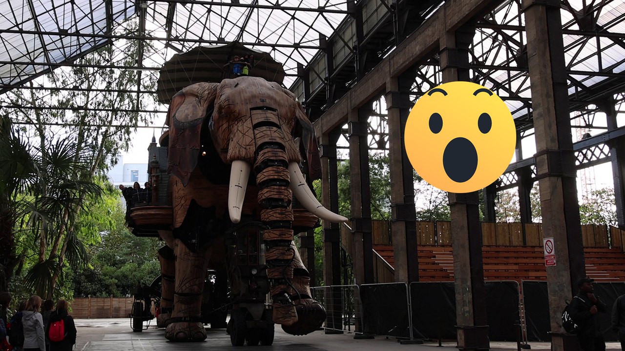 From Blooms to Blaze: Unveiling Earth's Marvels || Best of Internet