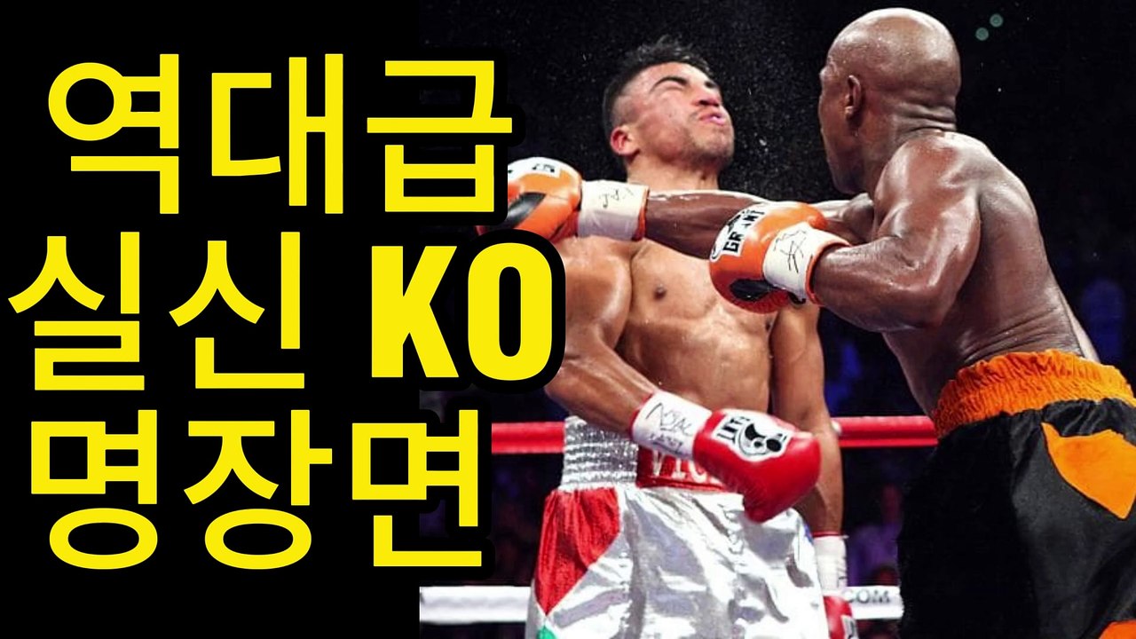 한방으로 기절! 살벌하게 실신시키는 역대급 KO 하이라이트