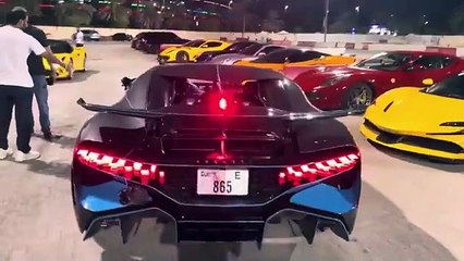 TESLA PLAID VS BUGATTI DIVO 2024