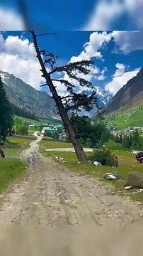 Naltar Valley Most Beautiful Place in Gilgit Baltistan