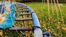 Video: Mette una telecamera al suo gatto e scopre che ha una vita sociale più intensa della sua