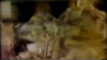 Natu Nobilis Whisky 1983