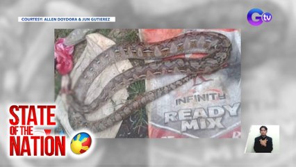 Sawa, patay matapos kagatin ng rider na inatake nito | SONA