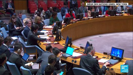 Gaza pilonnée par Israël : vote à l'ONU pour l'acheminement d'une aide humanitaire