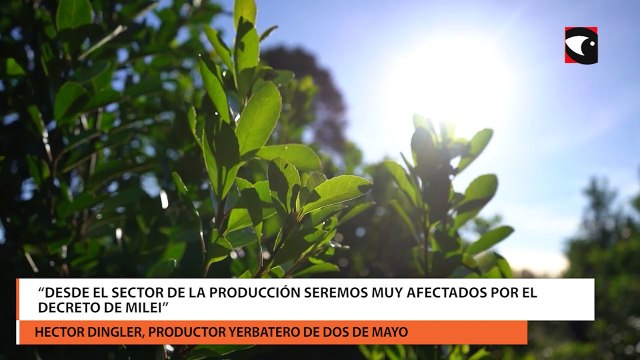 Productores de misiones preocupados tras el DNU de milei que modifica las facultades del INyM
