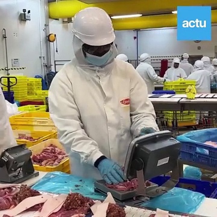 Sablé-sur-Sarthe : le volailler LDC produit 70% de ses volailles festives en trois jours