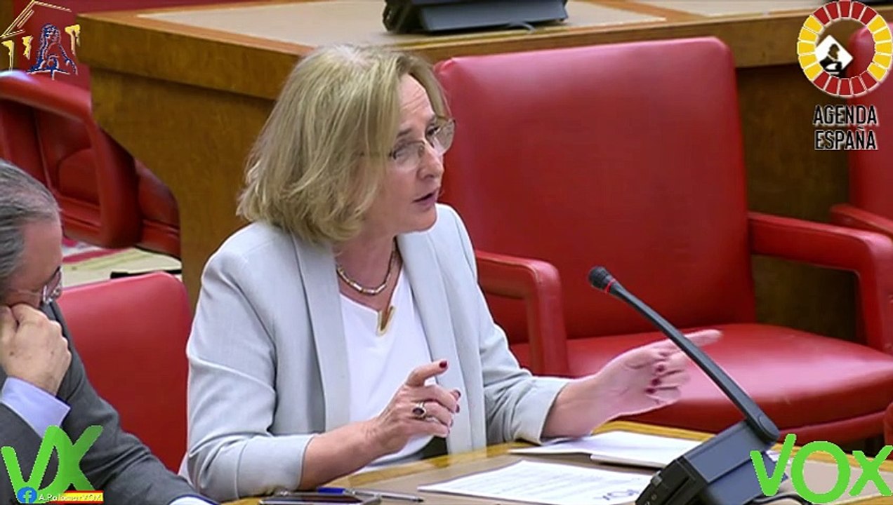 Lourdes Méndez interviene en comparecencia en comisión del candidato a presidir la Agencia EFE. 21.12.2023