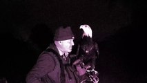 Golden Eagle and Bird Man Boo at the Zoo Dartmoor Halloween 2022