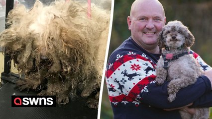 Pet owners share delight at giving horrifically malnourished dogs fresh lease of life