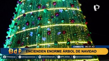 Navidad en Perú: ¿En qué región se encuentra el árbol más grande de todo el país?