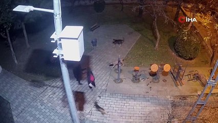 Ümraniye’de köpeklere ateş eden sanık bu kez de avukat tehdit etti