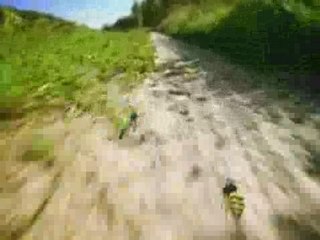 Carreras ilegales con resultados traumáticos