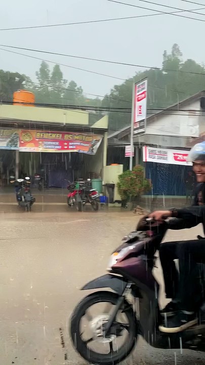 Motorist Fails To Watch Road