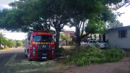 Télécharger la video: Militares do Corpo de Bombeiros realizam poda de árvore no Santa Felicidade