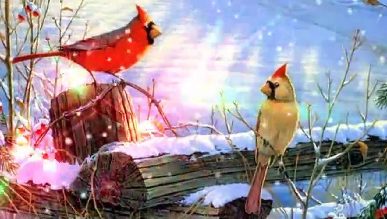 ✿ﻼღ♥ Andre Rieu in concert Fernando ABBA HQ Audio ♥༺-༺♥