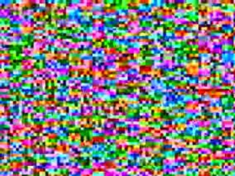 fin manif anti-OGM, rennes, 29 mars 2008