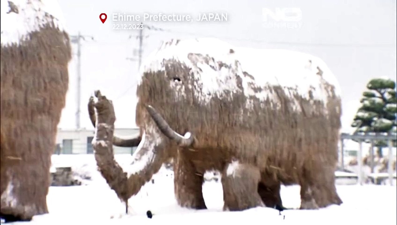 Japan im Schnee: Wintermagie oder Fluch?