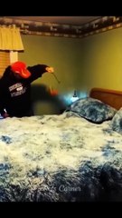 Funny_Animal_Videos_Of_The_Day_0054!__#fyp_#memes_#memedaily_#dankmemes(720p)