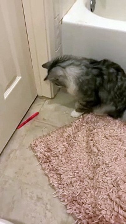 He never enjoys playing
