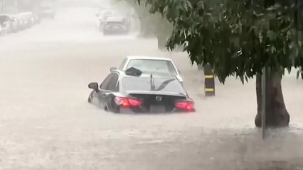 미 캘리포니아 남부 기록적 폭우...한 달 치 비가 한꺼번에 / YTN