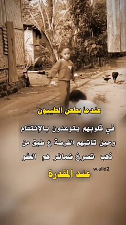 null(MP4)_5