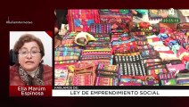 Ley de Emprendimiento Social: Elia Marúm Espinosa