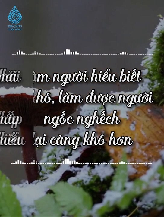 Trong cuộc sống đôi khi  tỏ ra mình ngốc nghếch một chút lại hay