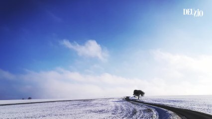 Travaux du jardin - 23 décembre 2023 : de l'utilité de la neige