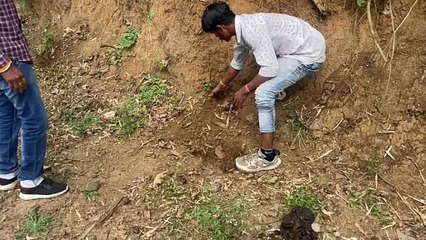 Lahan was kept buried in the ground