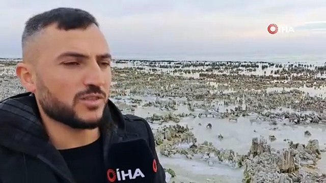 Kuraklık Van Gölü sahilini mikrobiyalit tarlasına dönüştürdü