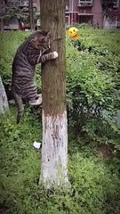 You can't see me boy