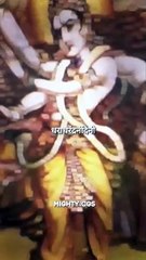 Shree Mahadev Shambhu   #sanatan #santani #sanatandharma #mahadev #shreemahadev #shambhu #mahakal #krishna #jaishreeram #parshuram #radhakrishna #explore #explorepage