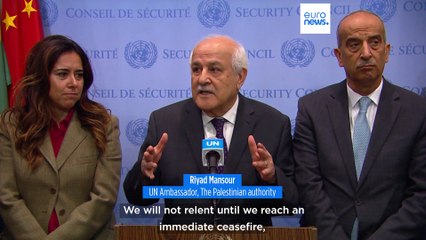 The UN Security Council adopts a watered down version of resolution