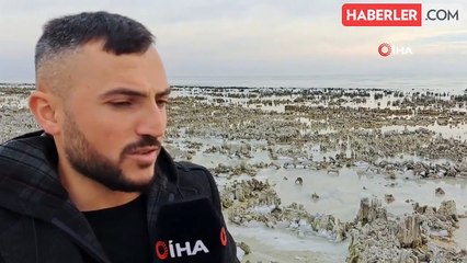 Kuraklık Van Gölü Sahilini Mikrobiyalit Tarlasına Dönüştürdü