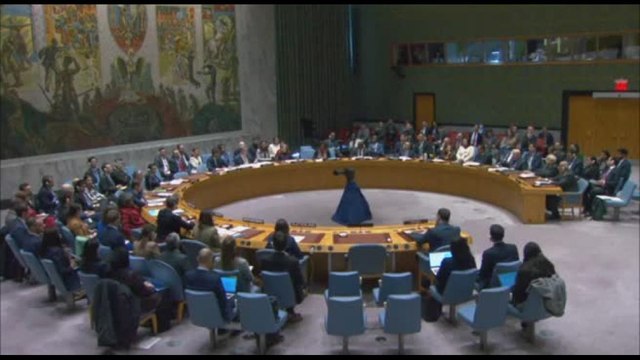 Consiglio sicurezza Onu approva risoluzione per aiuti a Gaza