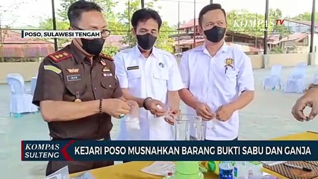 Kejari Poso Musnahkan Barang Bukti Sabu dan Ganja