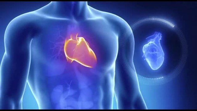 Colesterolo cattivo, da uno studio nuovi aiuti per la prevenzione