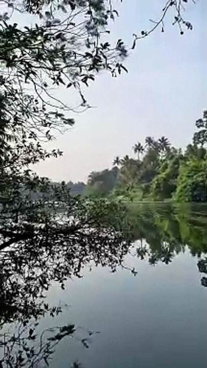 Peaceful day