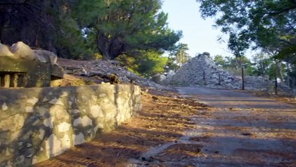 Swamp of Despair - Mysteries of the Abandoned