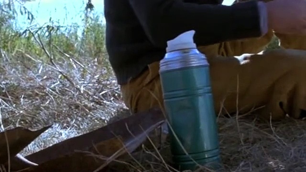 Spider 2002