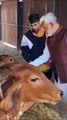 Video: योगी सरकार के मंत्री का 51 सेकंड का वीडियो वायरल, खाना खाने से पहले गाय को खिलाते हैं पहली रोटी