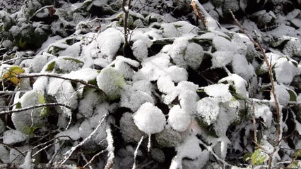 Abant Gölü Milli Parkı beyaza büründü