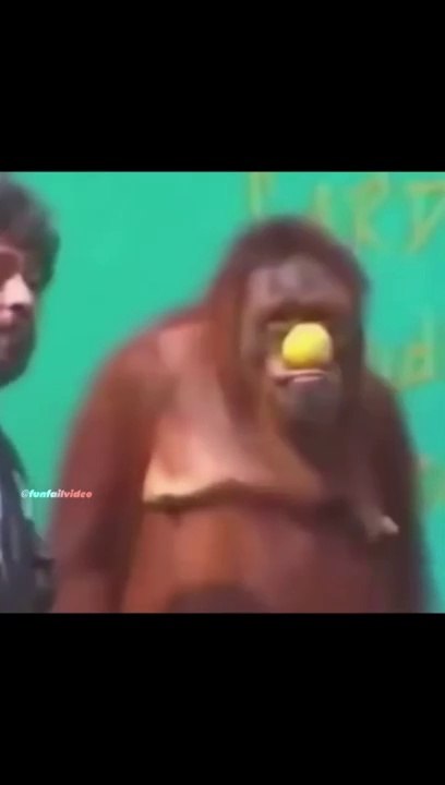 you will Laugh Out Loud in this video
