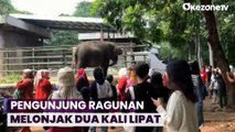 Libur Nataru, Pengunjung Taman Margasatwa Ragunan Melonjak Dua Kali Lipat